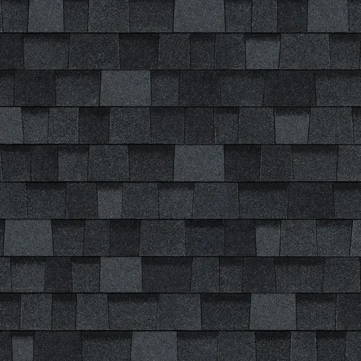 Onyx Black color swatch